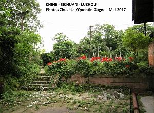 Luzhou 039